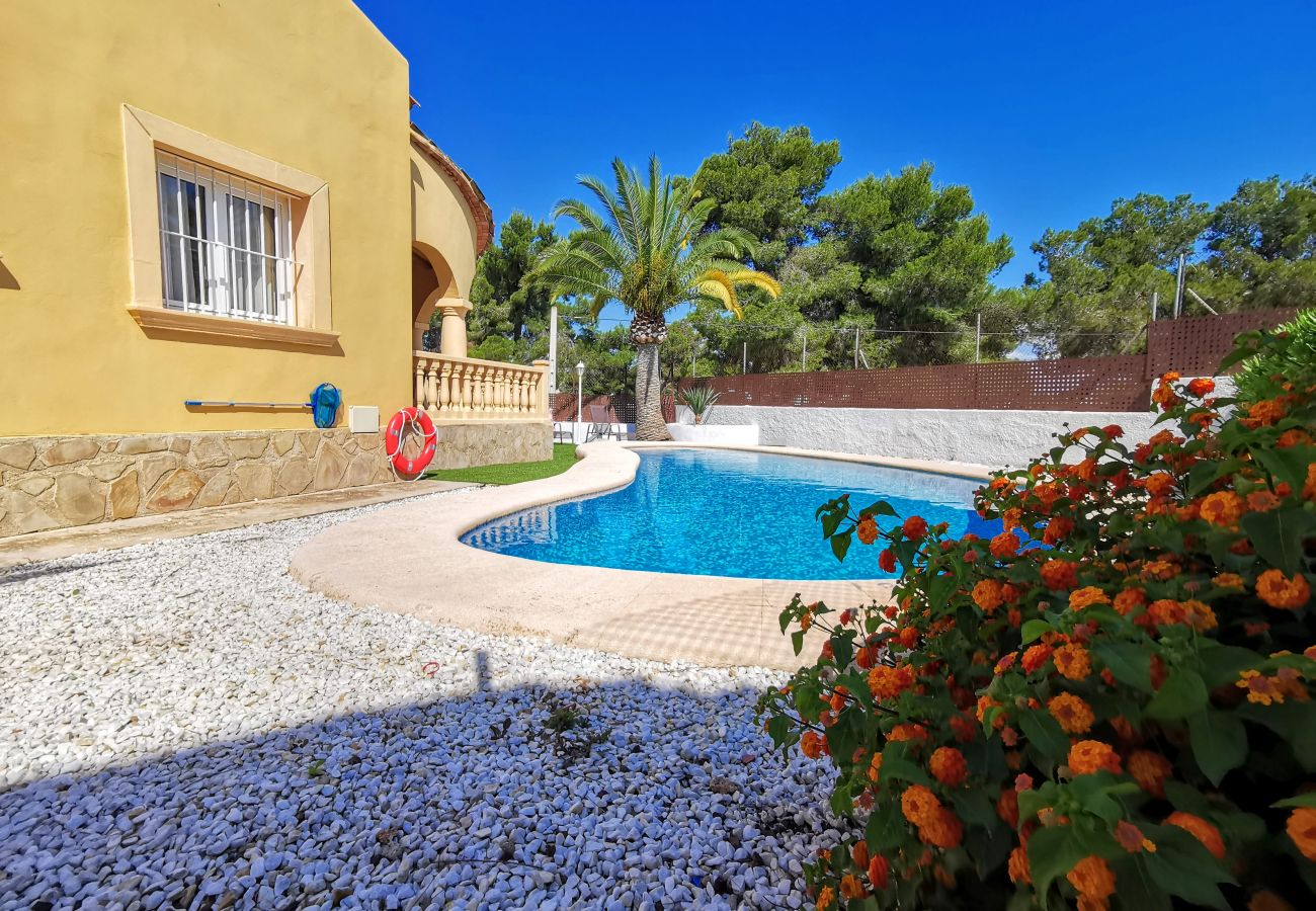 Villa en Javea / Xàbia - 0302 - PERA