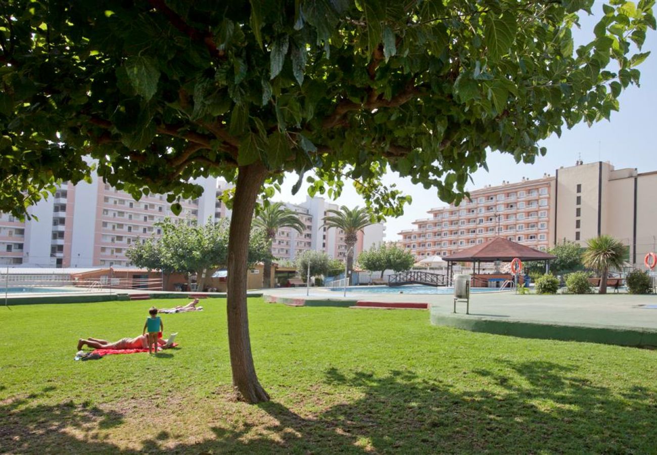 Apartamento en Peñiscola - PEÑI 1D18 (137)