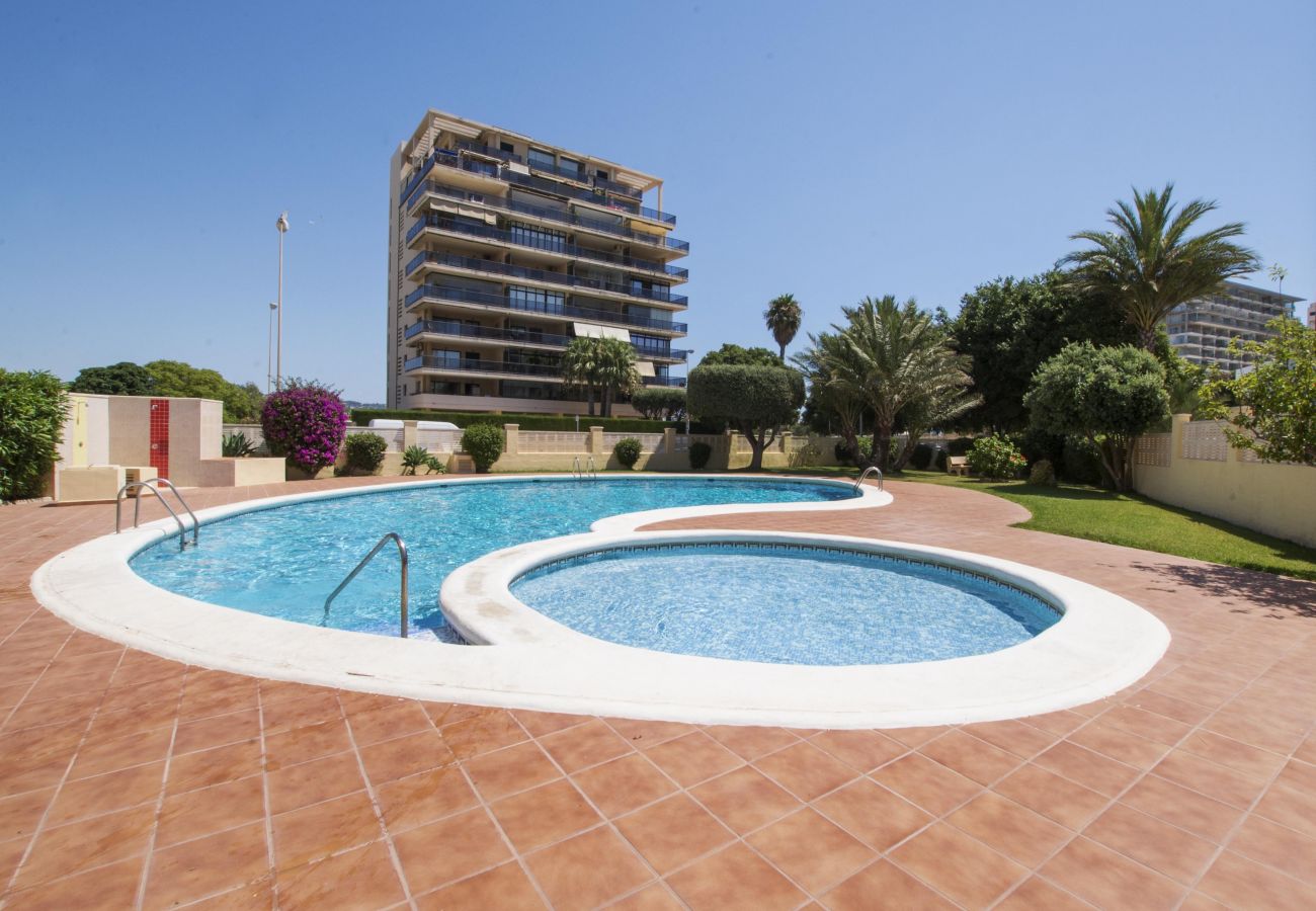 Apartamento en Calpe - A05 EDIFICIO LA REINA 7º 41