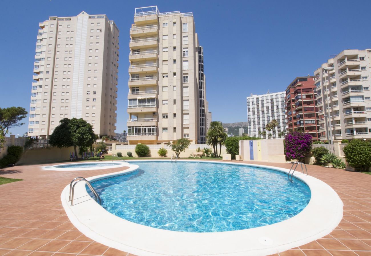 Apartamento en Calpe - A05 EDIFICIO LA REINA 7º 41