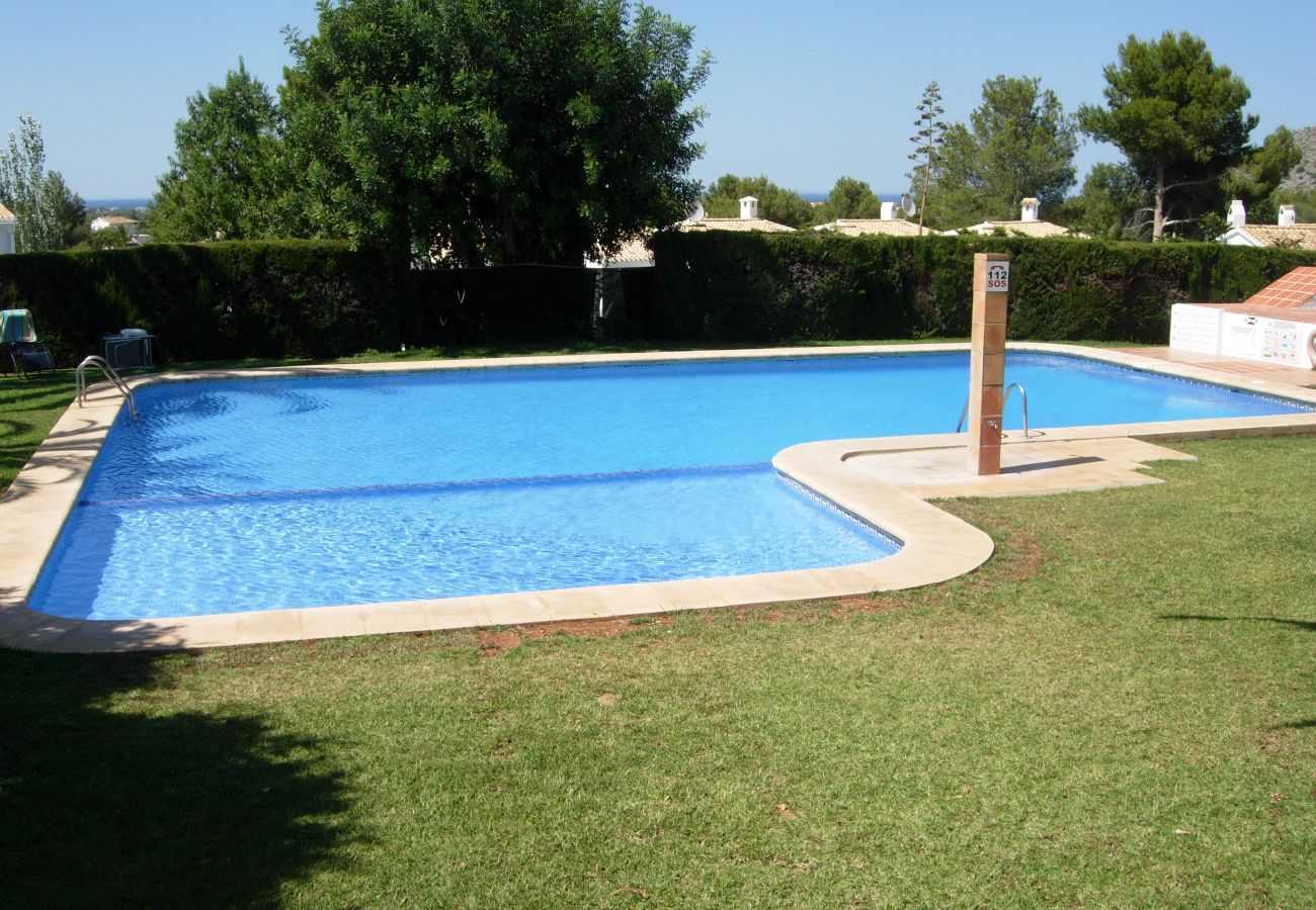 serviden, alquiler, la sella, deniaplaya.com, vacaciones rurales, hotel con encanto, senderismo, tenis, sakya, jardin albarda