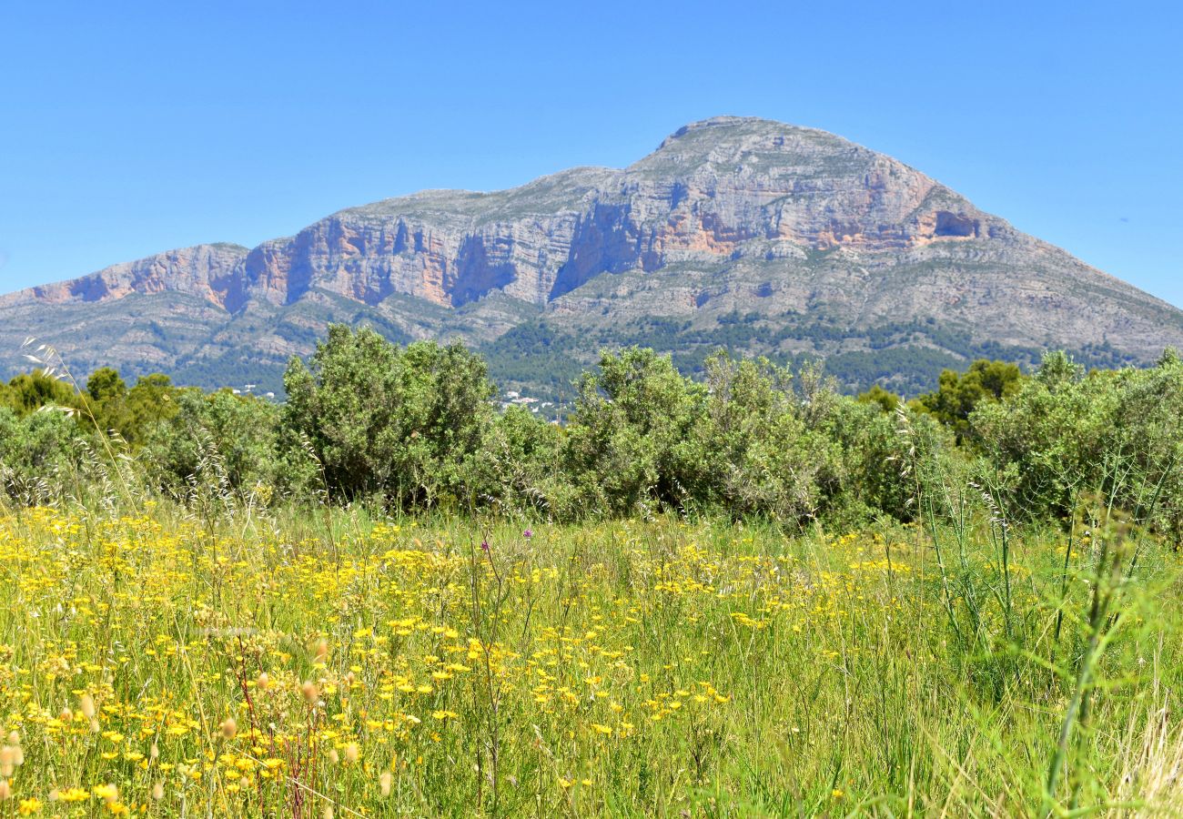 Chalet en Javea / Xàbia - Casa Juanita Javea - 5007