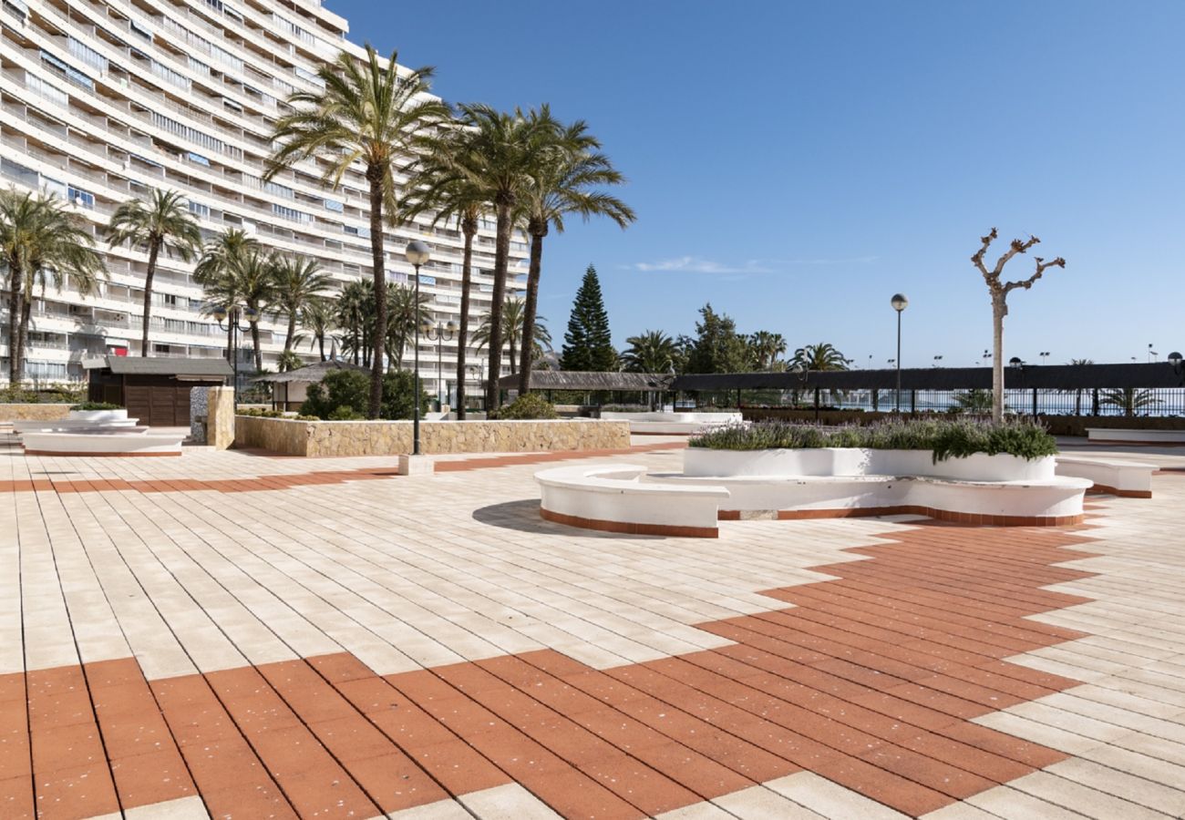 Apartamento en Cullera - FLORAZAR 1, I-A 4-D