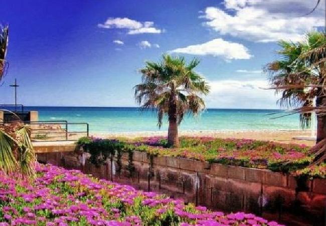 Palmeras, jardín con flores y arena y playa al fondo, Moncofa