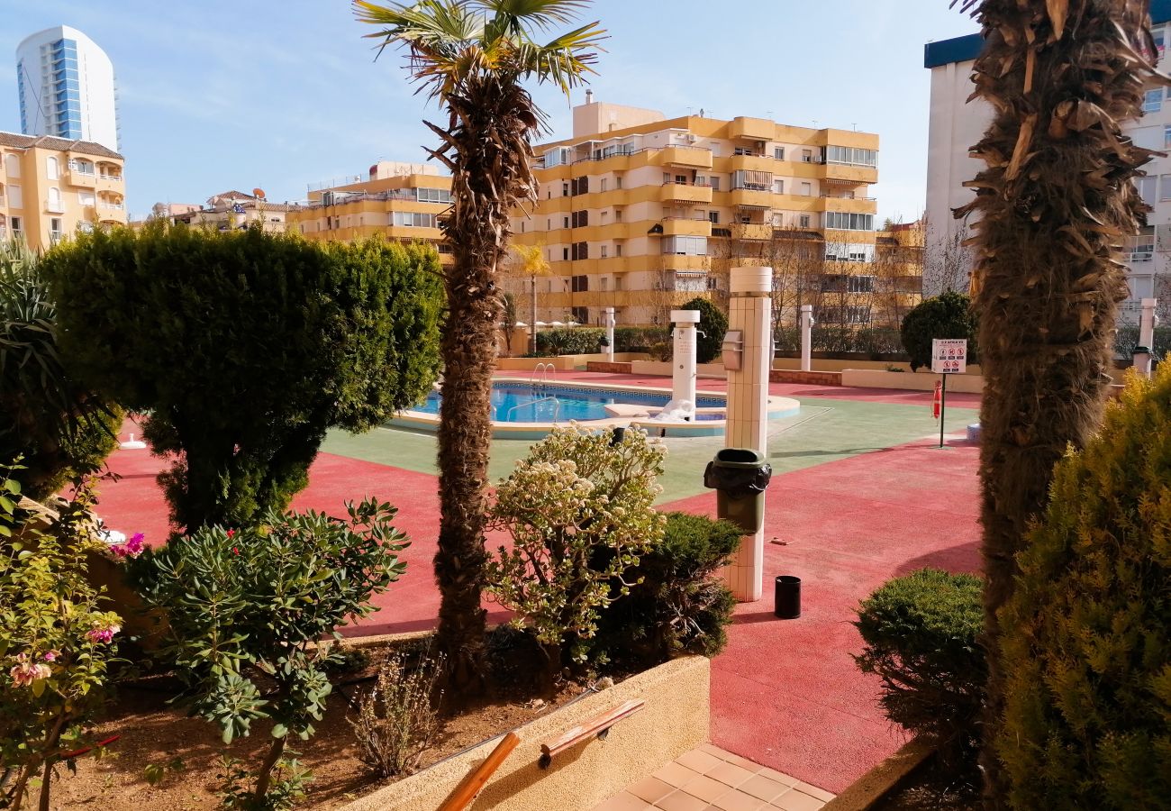 Apartamento en Calpe - A12 APOLO 7 ESC 2 1º 3