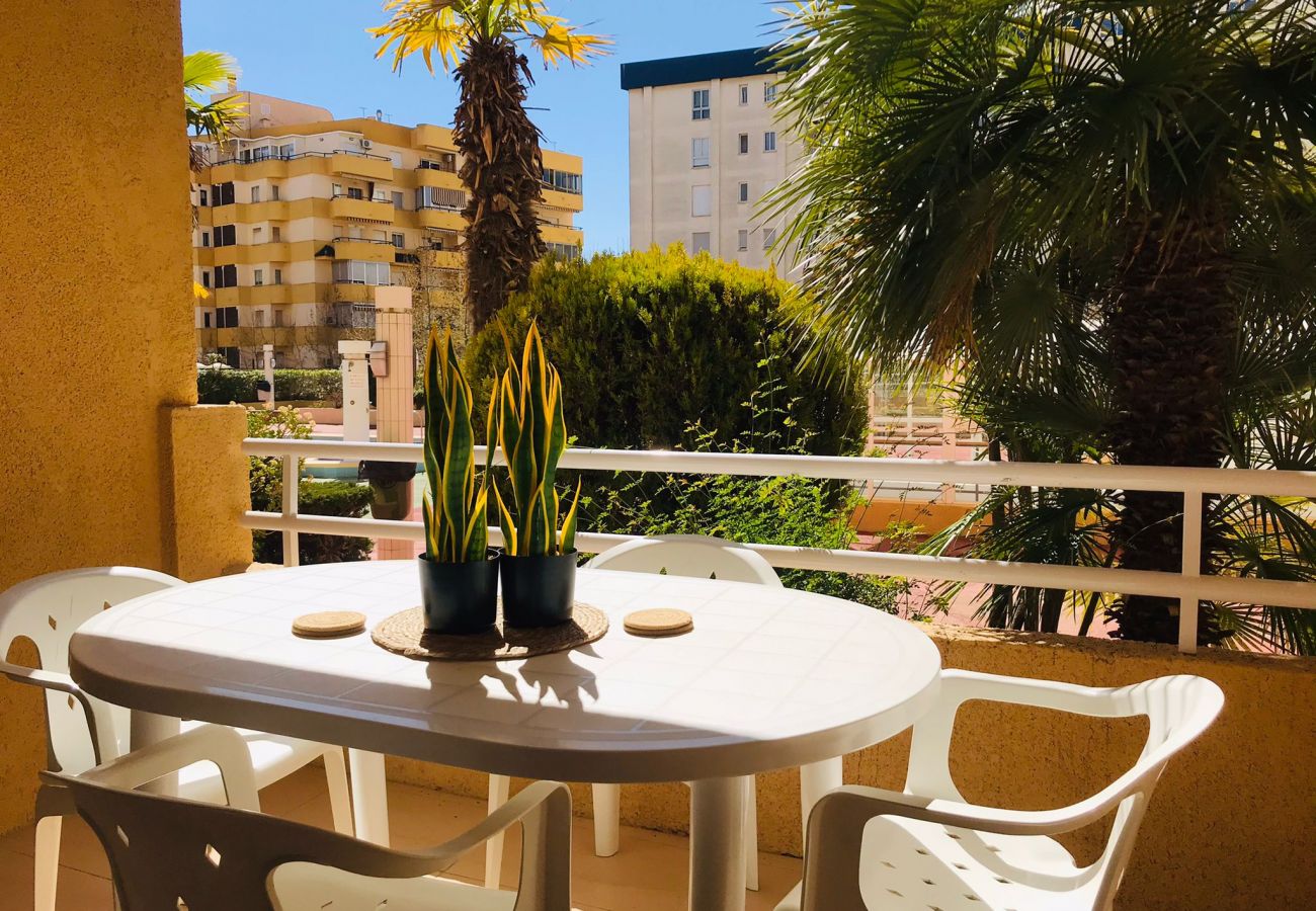 Apartamento en Calpe - A12 APOLO 7 ESC 2 1º 3