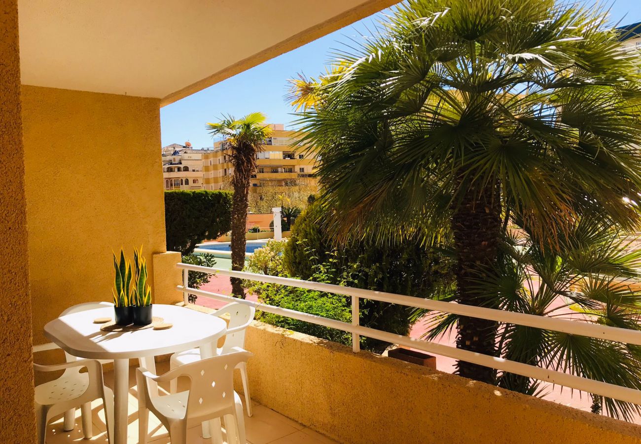 Apartamento en Calpe - A12 APOLO 7 ESC 2 1º 3