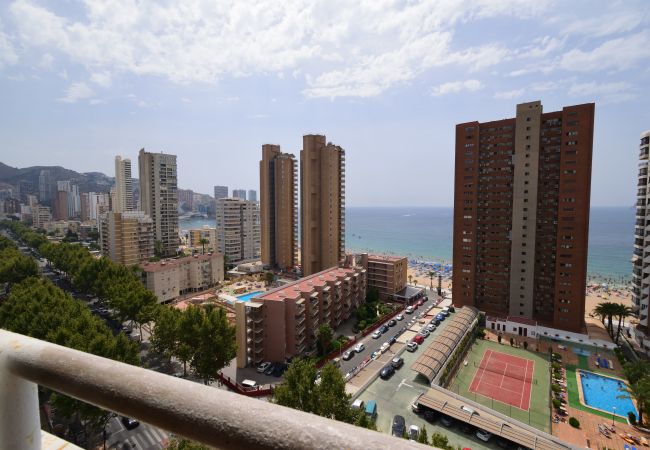 Apartamento en Benidorm - CABALLOS 14H