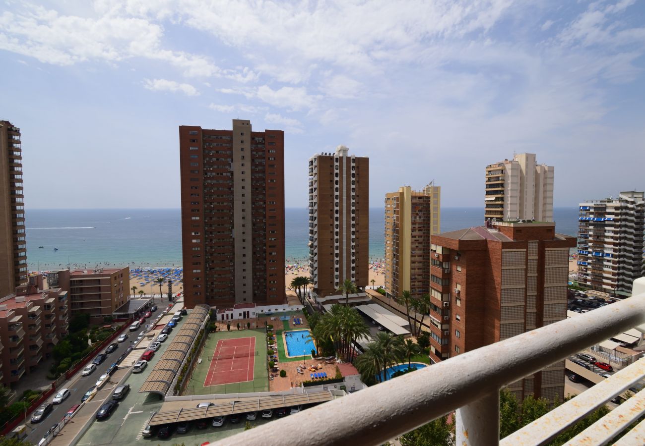 Apartamento en Benidorm - CABALLOS 14H