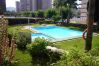 Apartamento en Benidorm - EDEN PARK 8C Apartamento en Benidorm - EDEN PARK 8C