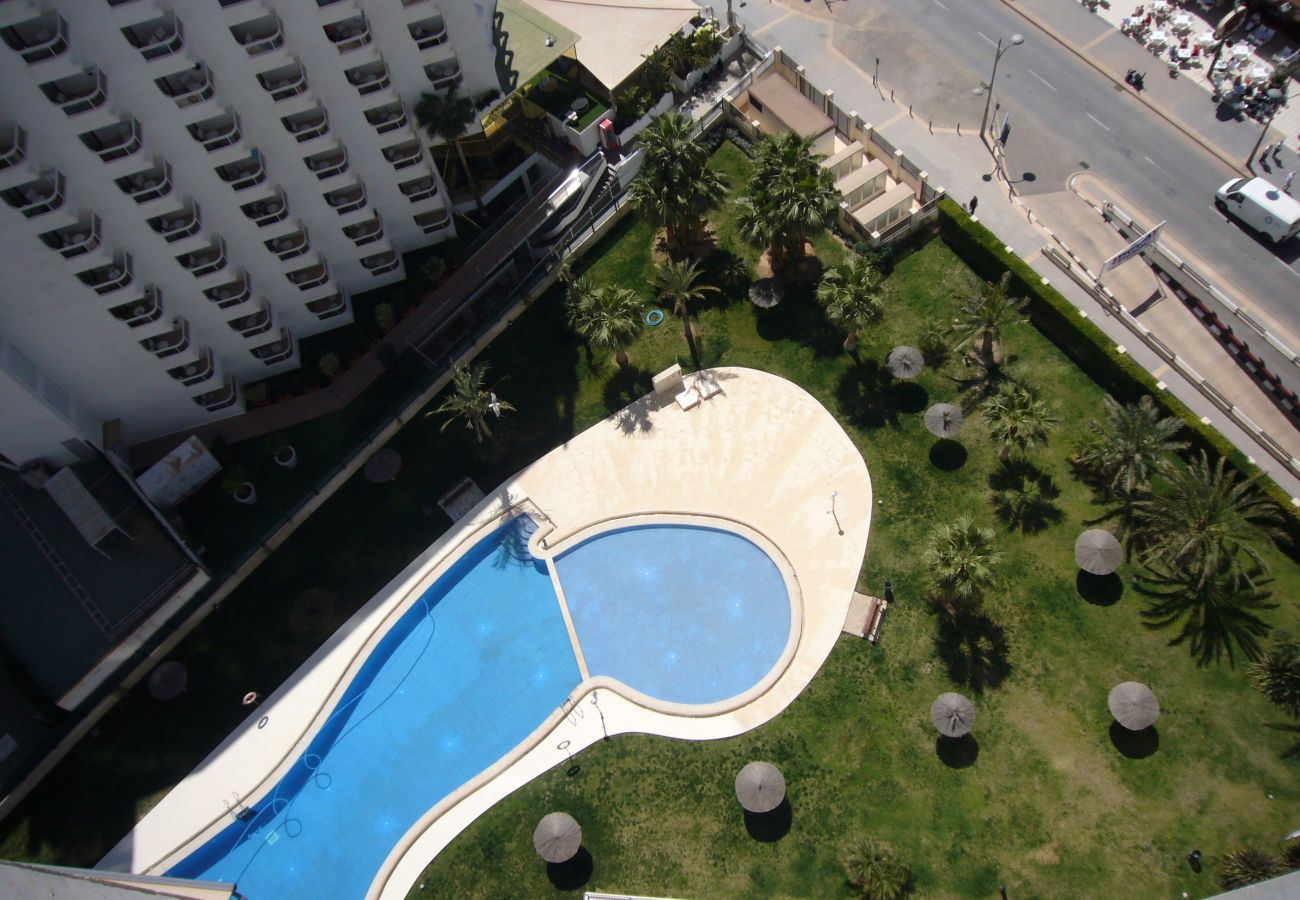 Apartamento en Benidorm - GEMELOS 26 17B1