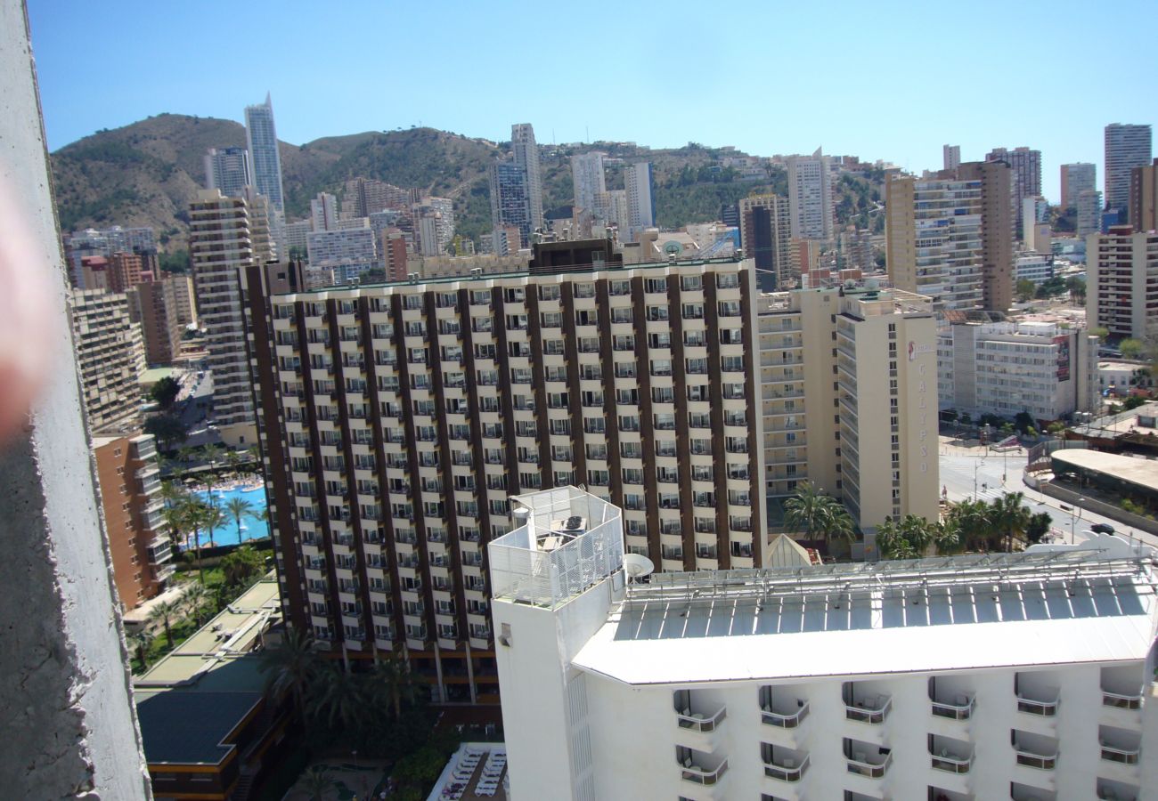 Apartamento en Benidorm - GEMELOS 26 17B1