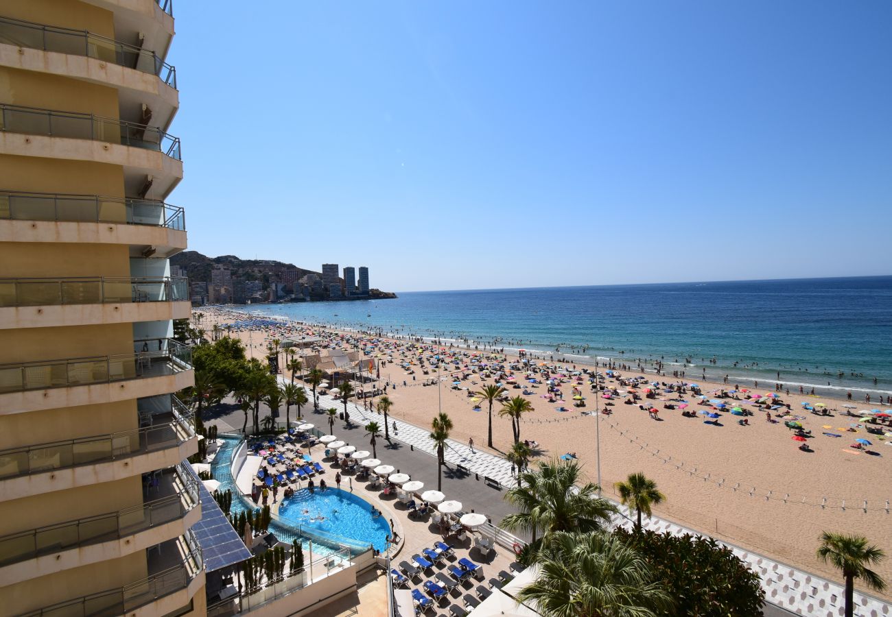 Estudio en Benidorm - MIRAMAR PLAYA 6-3