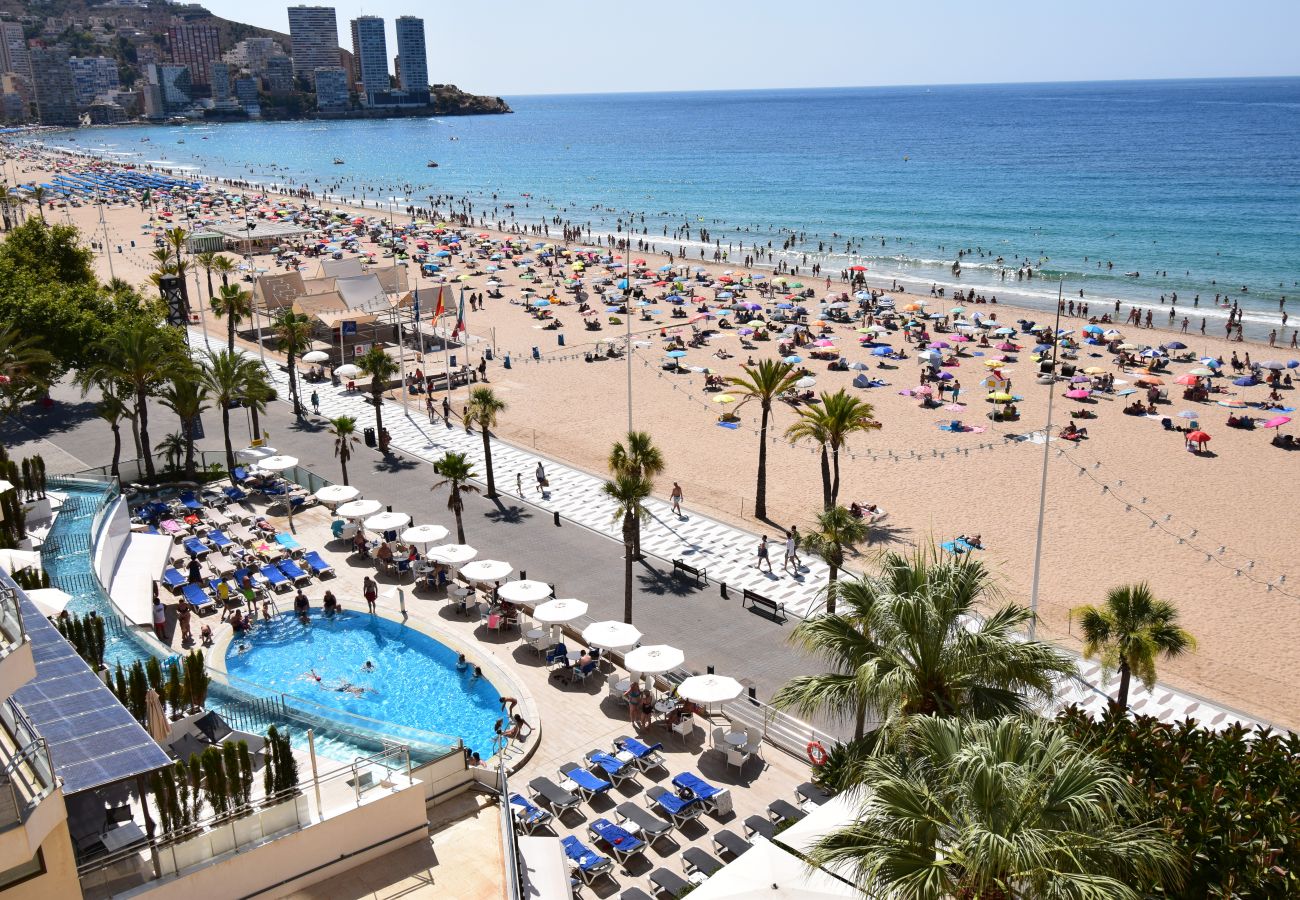 Estudio en Benidorm - MIRAMAR PLAYA 6-3