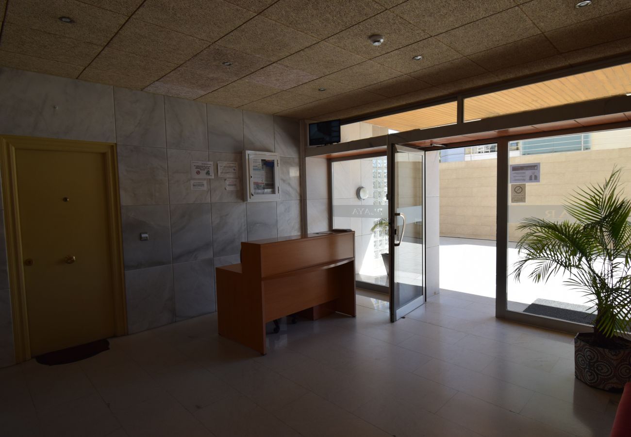 Estudio en Benidorm - MIRAMAR PLAYA 6-3