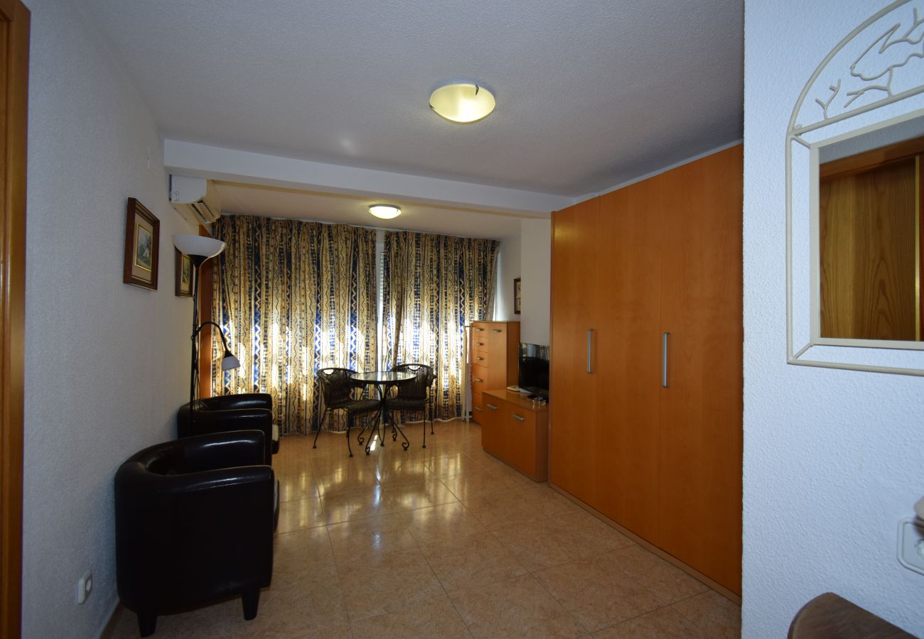 Estudio en Benidorm - MIRAMAR PLAYA 6-3