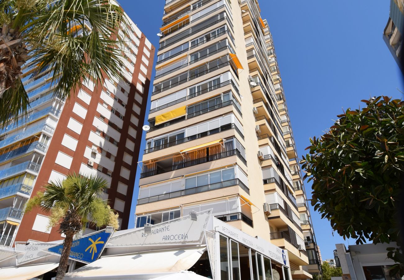 Estudio en Benidorm - MIRAMAR PLAYA 6-3