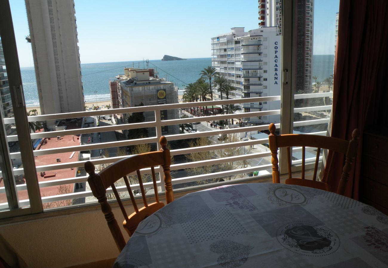 Estudio en Benidorm - DUCADO 8D