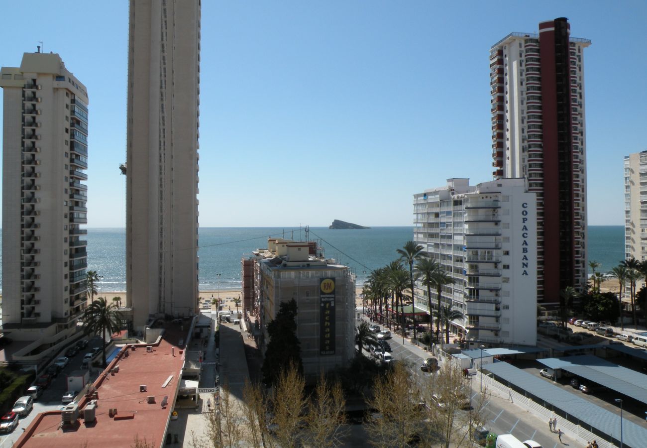 Estudio en Benidorm - DUCADO 8D