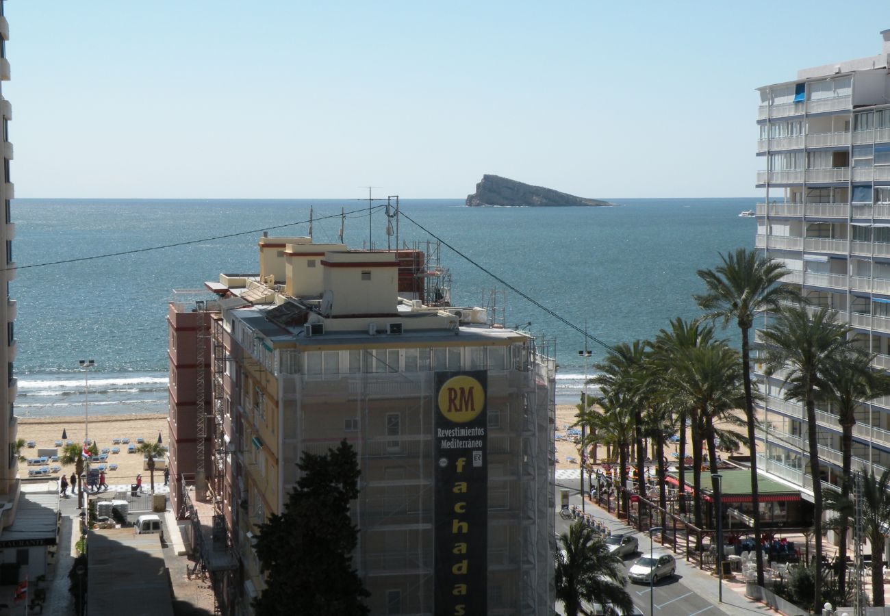 Estudio en Benidorm - DUCADO 8D