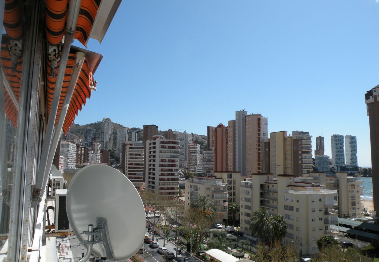 Estudio en Benidorm - DUCADO 8D