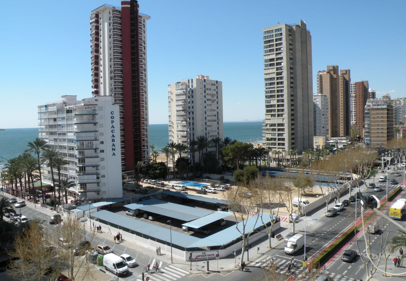 Estudio en Benidorm - DUCADO 8D