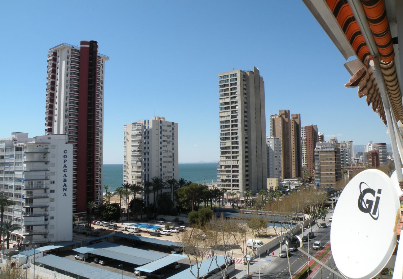 Estudio en Benidorm - DUCADO 8D