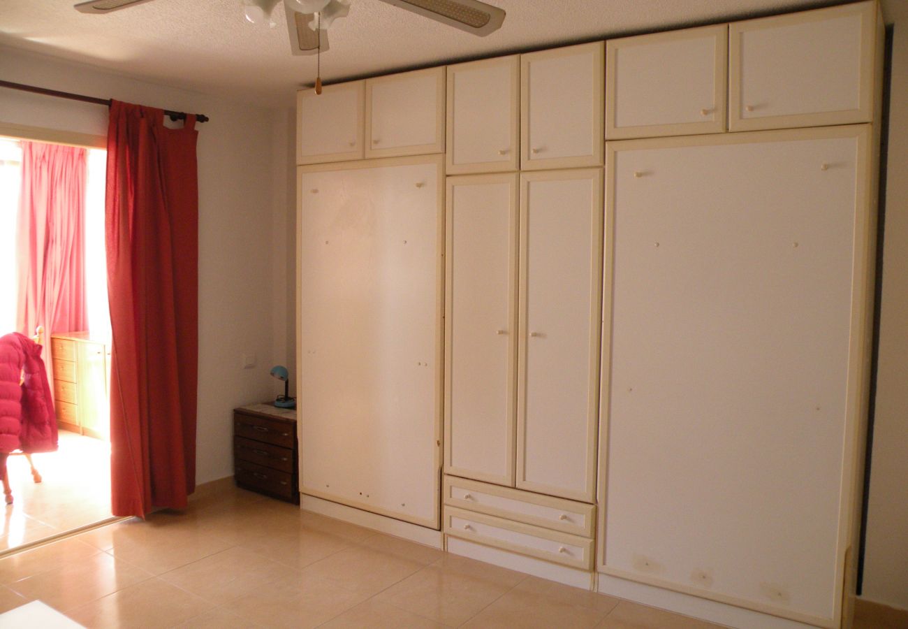 Estudio en Benidorm - DUCADO 8D