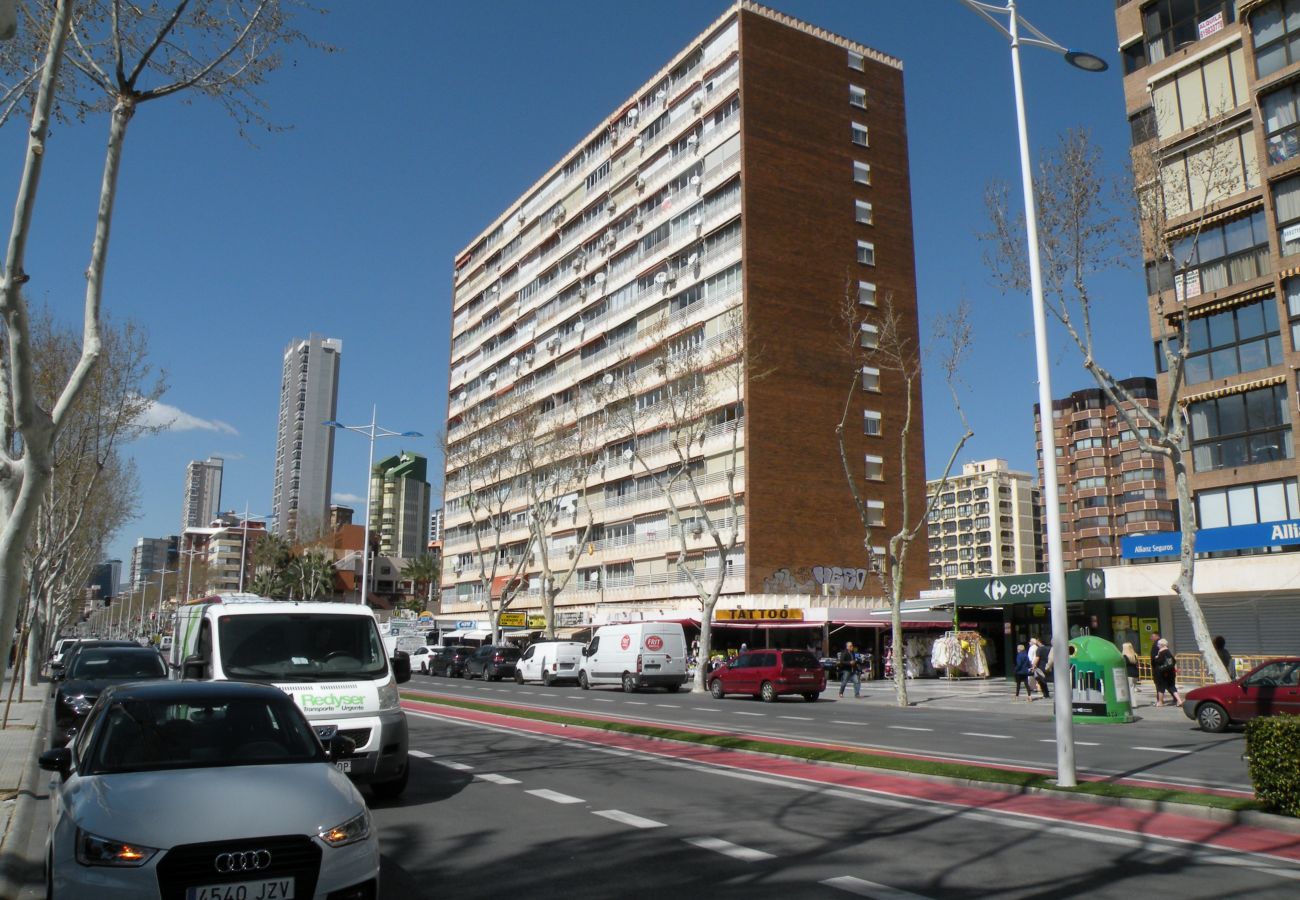 Estudio en Benidorm - DUCADO 8D