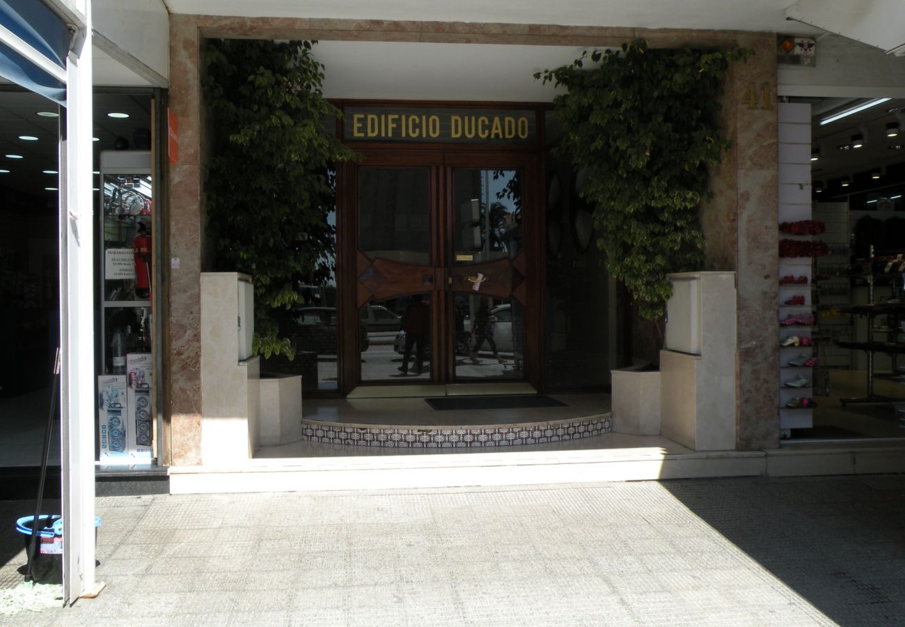 Estudio en Benidorm - DUCADO 8D