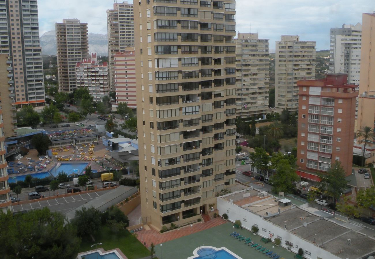 Apartamento en Benidorm - GEMELOS 4 20D2