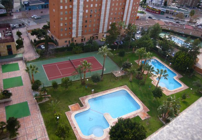 Apartamento en Benidorm - GEMELOS 12 11C2