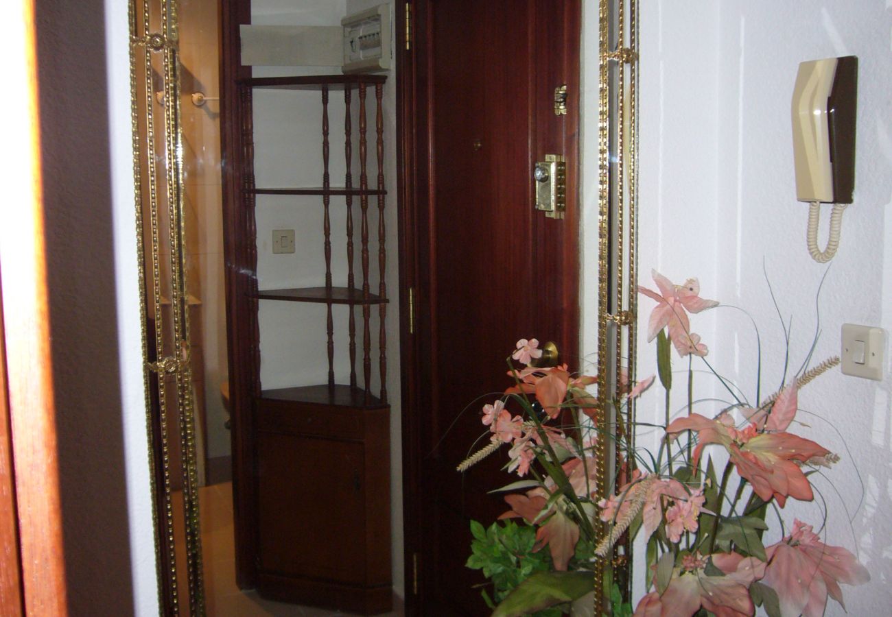 Apartamento en Benidorm - GEMELOS 12 4D1