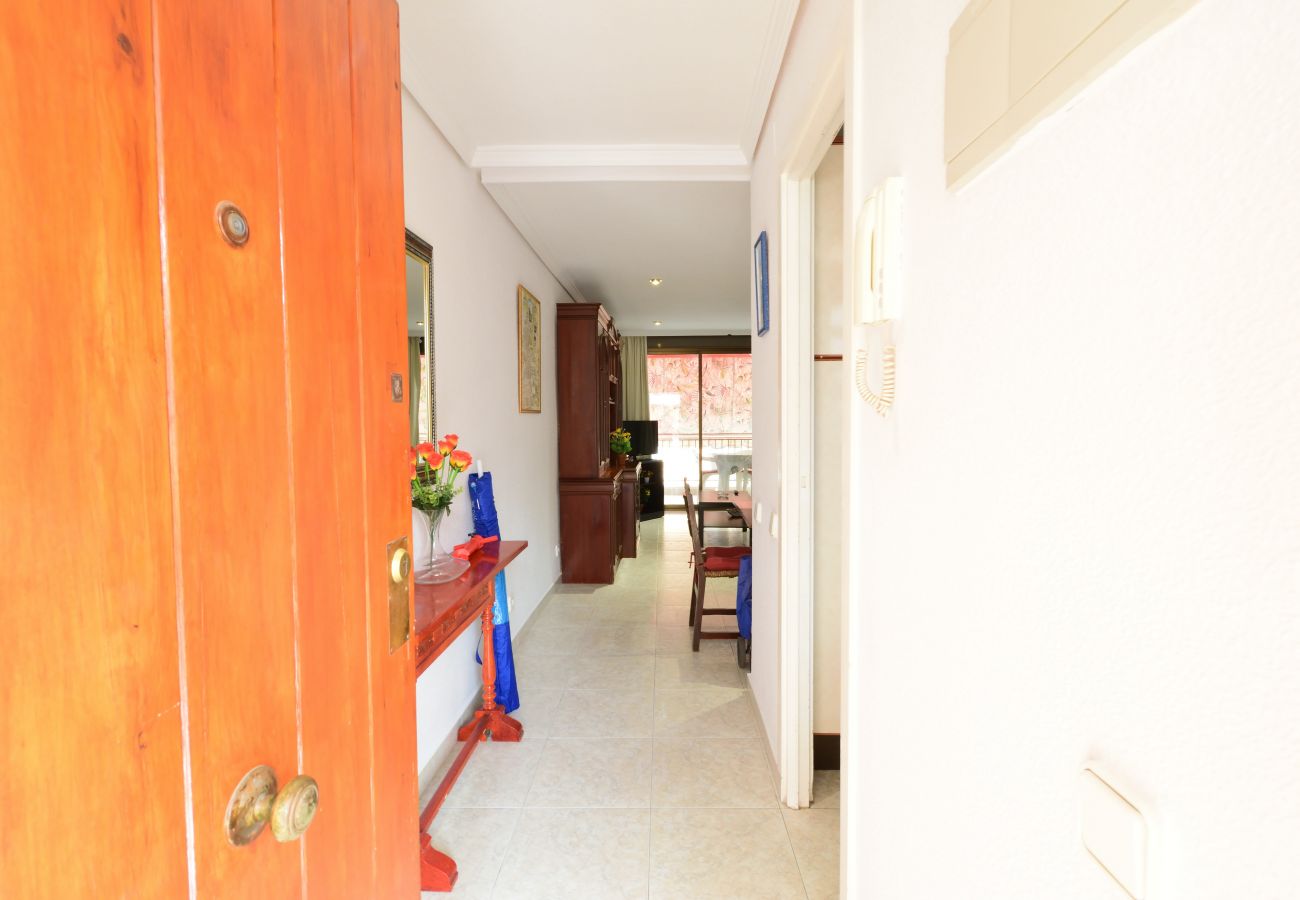 Apartamento en Benidorm - LAS TEJAS 2-31