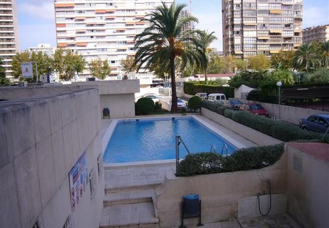 Apartamento en Benidorm - TORRE LEVANTE 6B