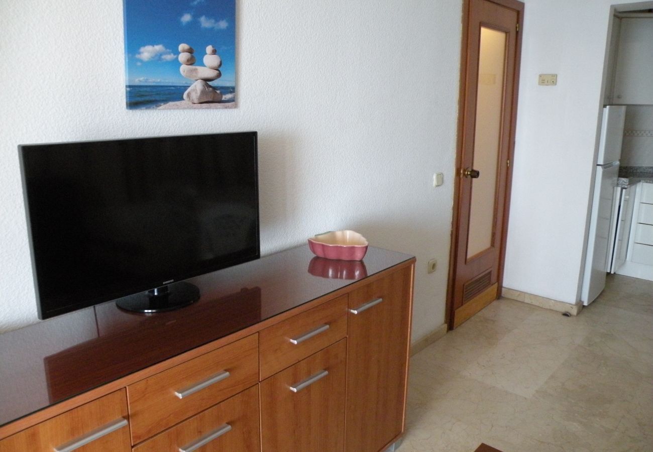 Apartamento en Benidorm - TORRE LEVANTE 6B