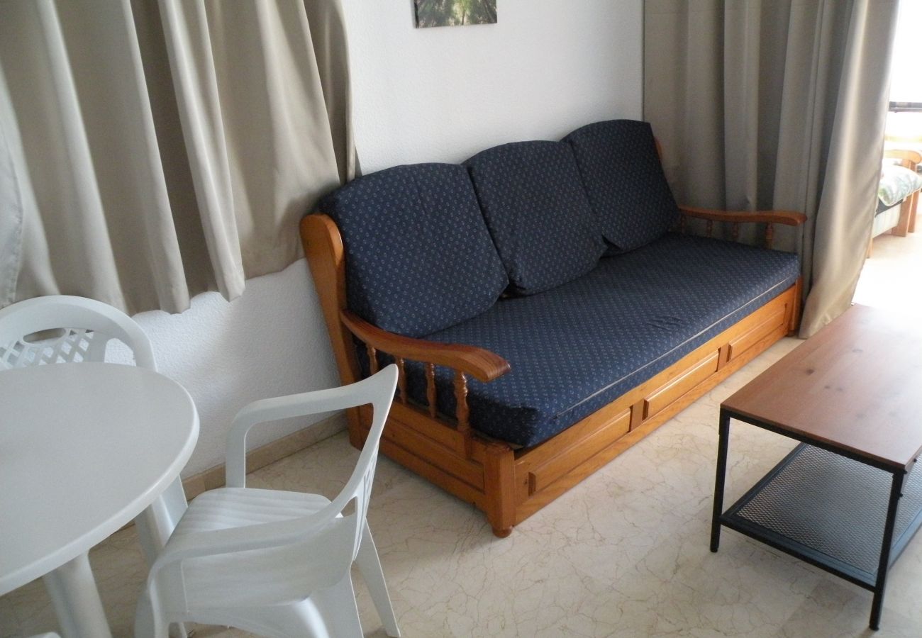 Apartamento en Benidorm - TORRE LEVANTE 6B