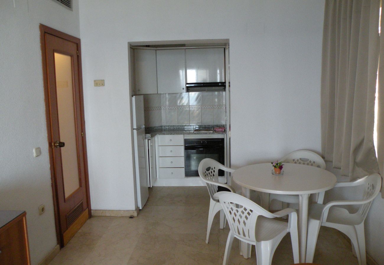 Apartamento en Benidorm - TORRE LEVANTE 6B