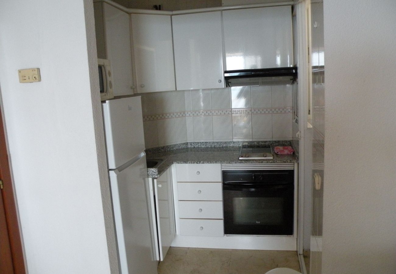 Apartamento en Benidorm - TORRE LEVANTE 6B