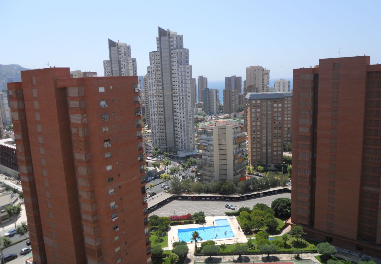 Apartamento en Benidorm - SAN FRANCISCO 10F2