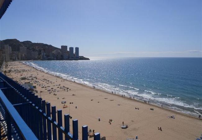 Apartamento en Benidorm - PALMERAS 9D