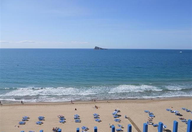 Apartamento en Benidorm - PALMERAS 9D