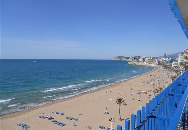 Apartamento en Benidorm - PALMERAS 9D