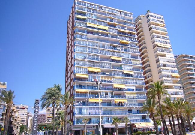 Apartamento en Benidorm - PALMERAS 9D