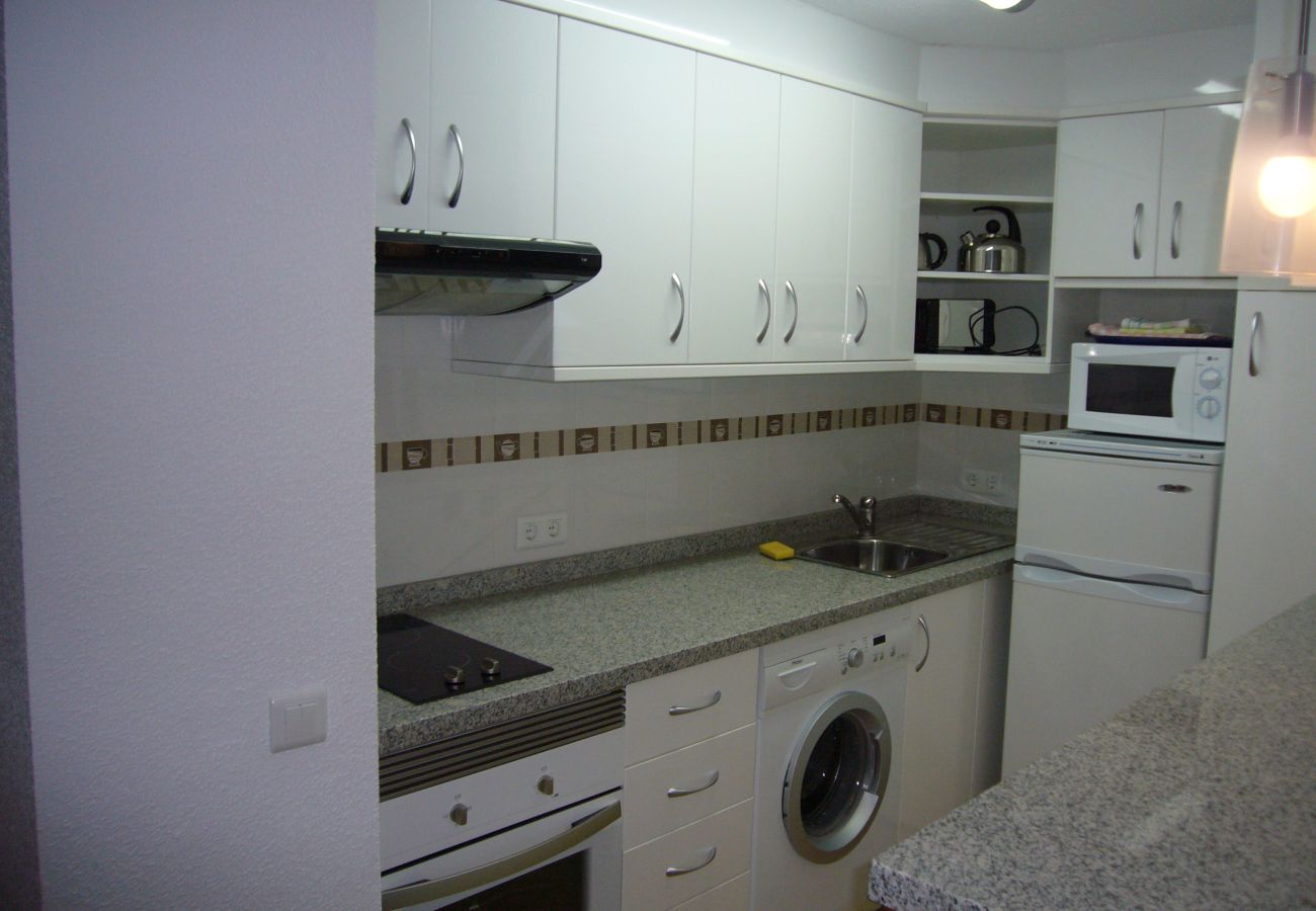 Estudio en Benidorm - PALMERAS 9E