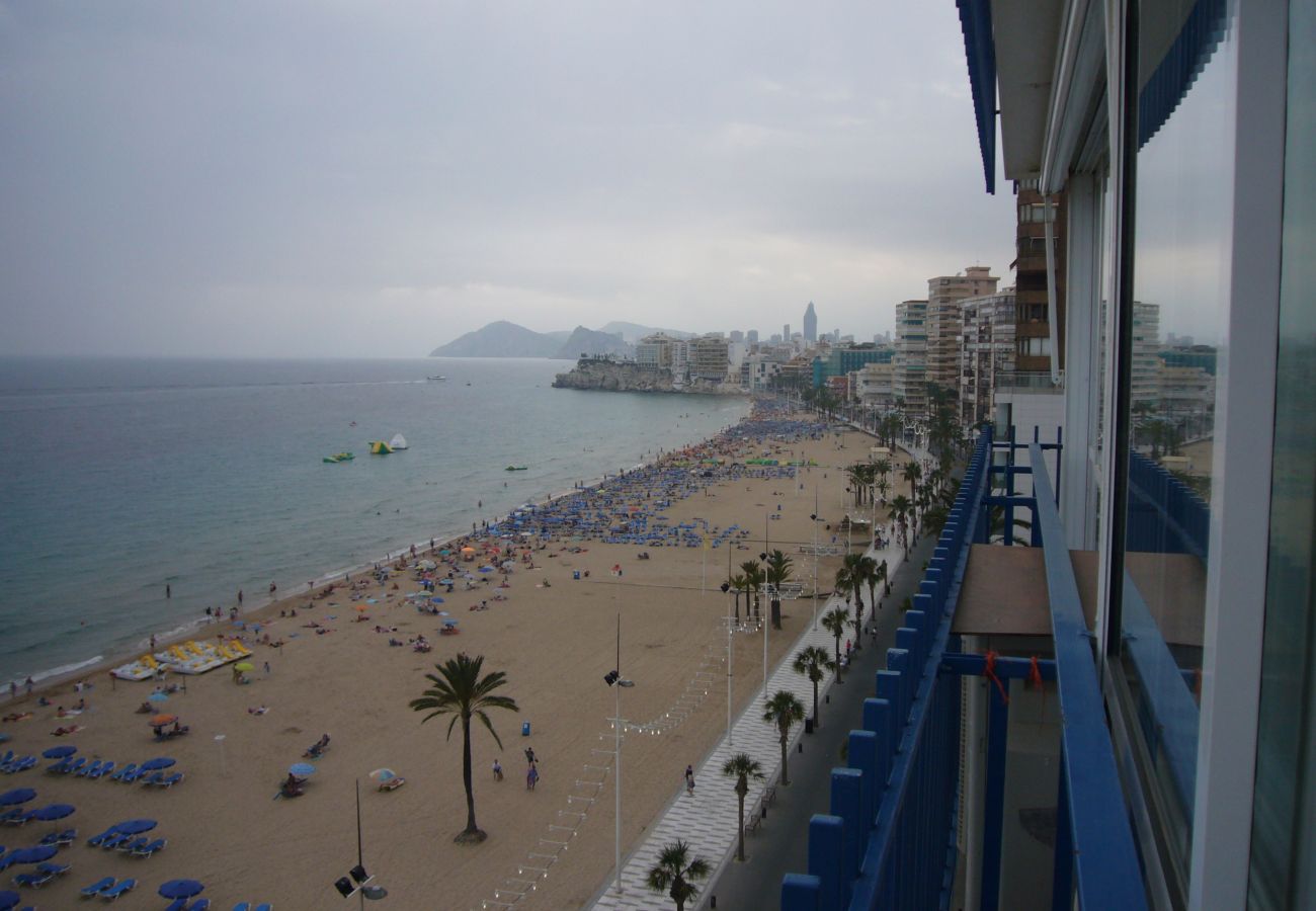 Estudio en Benidorm - PALMERAS 9E