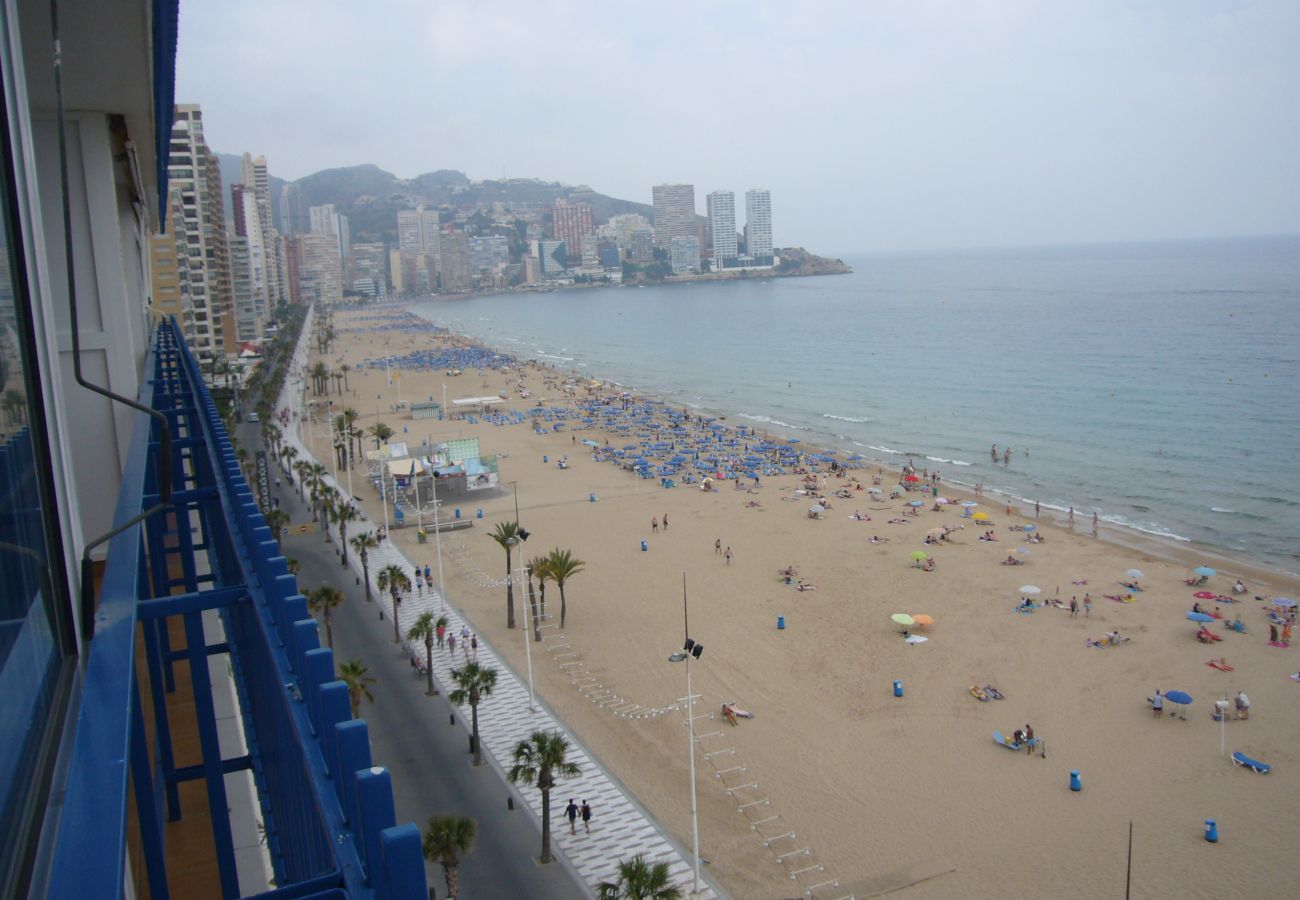 Estudio en Benidorm - PALMERAS 9E