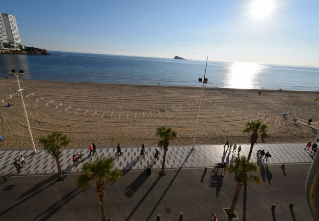 Apartamento en Benidorm - CAROLINA 3B