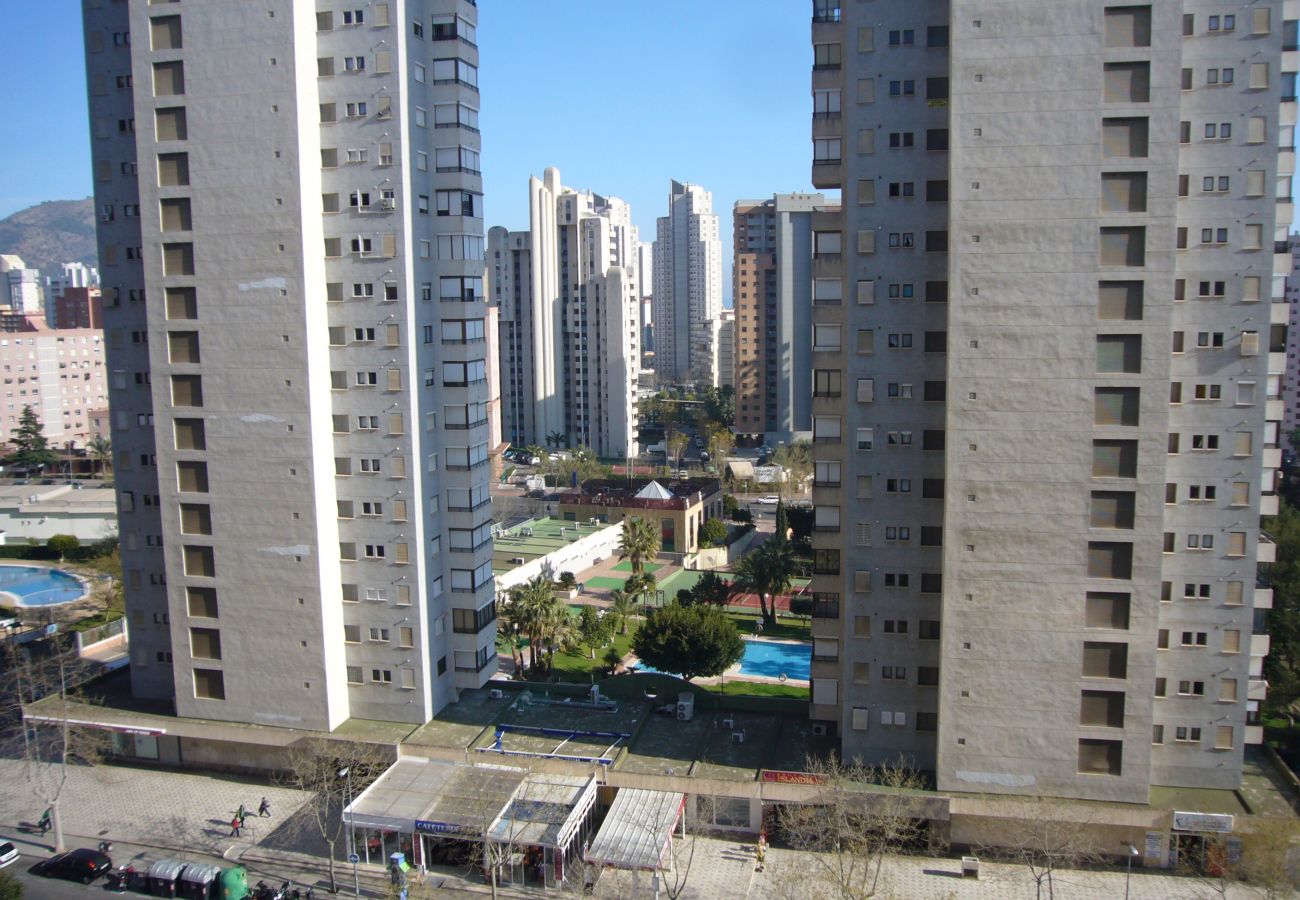 Apartamento en Benidorm - FINLANDIA 10D