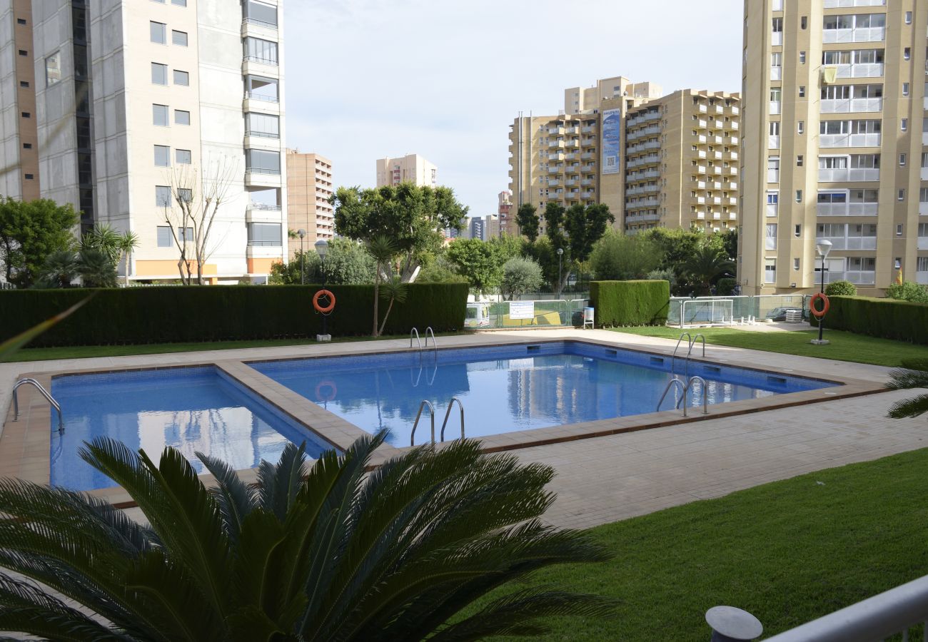 Apartamento en Benidorm - PARAISO ESPERANTO 4B